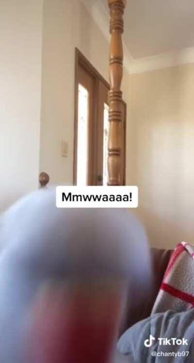 This bird's bird is out of control!