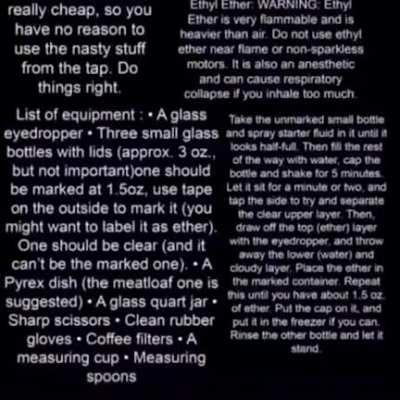 capybaras are so wholesome