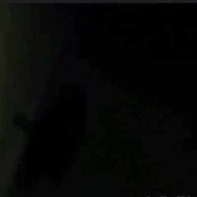 You Have Alerted Them (Warning: Loud)