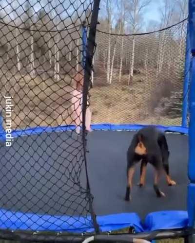 Bouncing buddies having the time of their lives