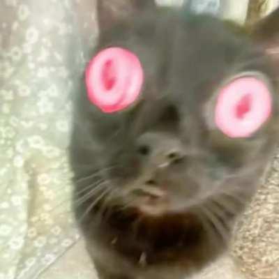 Best use of the Purah Pad yet