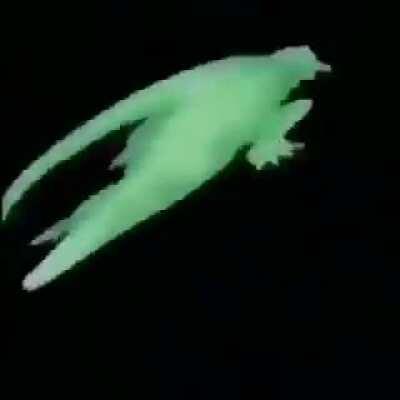 Spinning croc: companion, hurts and confuses enemies with a spin attack, gives extra stat boosts to itself and you if you have sufficient Florida man stat