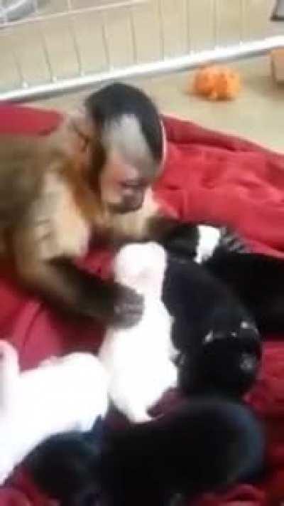 Lemme get that itch for you