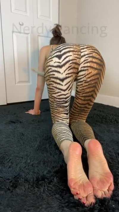 It’s ok if you stare at my big paws