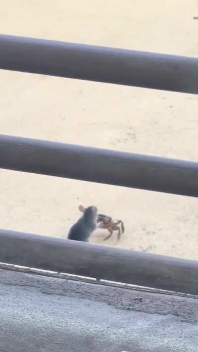 Please give this battle a name