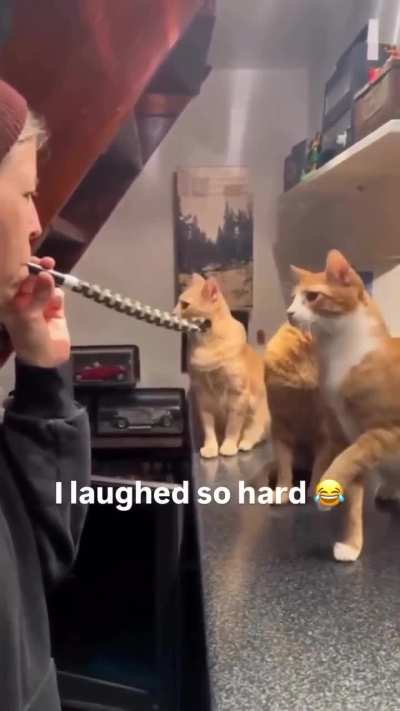 Wait for it 😭😂