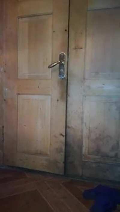 He flipped the script on Goldilocks