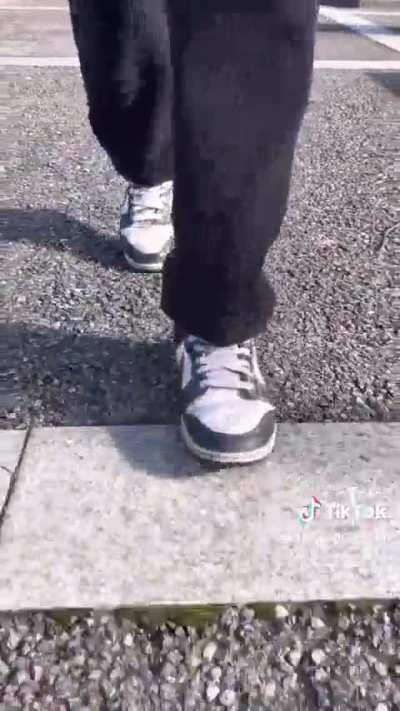 una tranquilla giornata a bologna