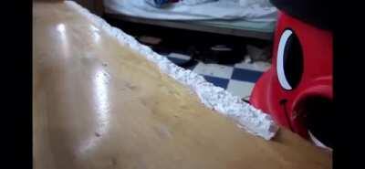 Leaked Footage of Harry in Ibiza