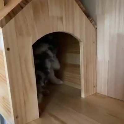 Wait...wait we haven't finished yet