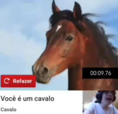 Cavalo.