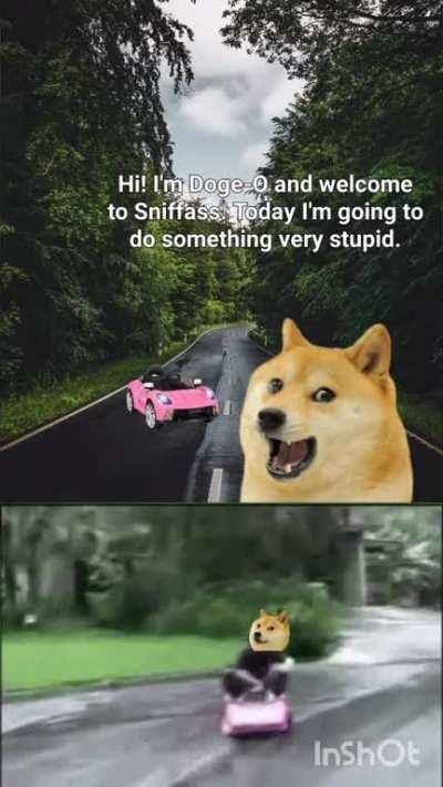 Le early 2000s reality slapstick comedy has arrived