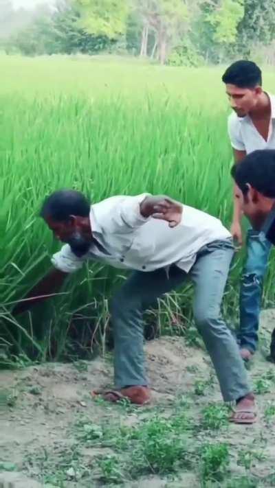 This can only go wrong 