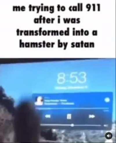 where tf Dr.Dolittle ho3 ahh