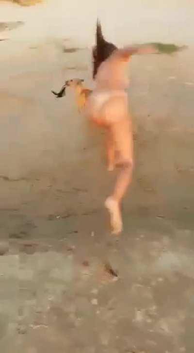 wagthroDOG in prima etapa de educare