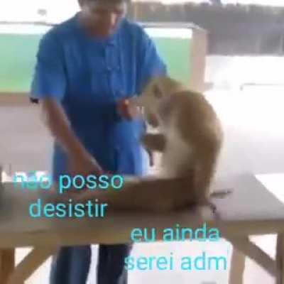 Hoje eu viro adm 🙏🙏