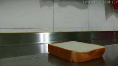 Happy Monday, Shitposters!