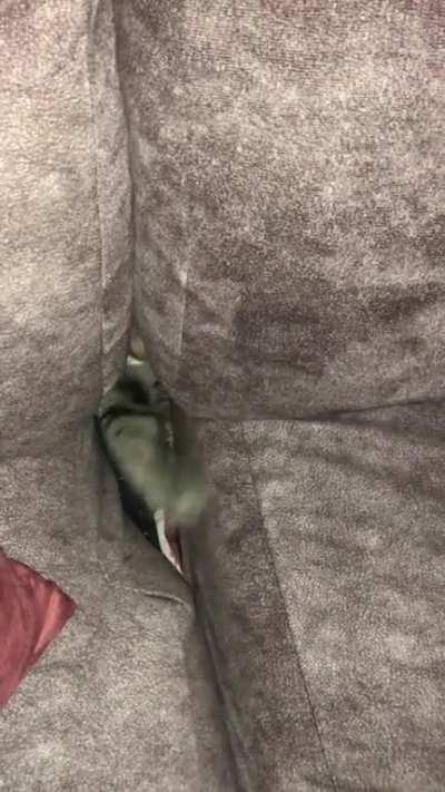 Touch (and steal) tha money!