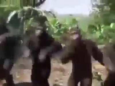 I'm 15 and this is yeet