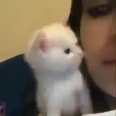 Se você tá tendo um dia ruim, assista esse vídeo 😁😁😁