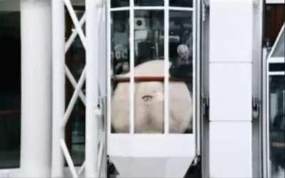 This UK tv ad during the early 00’s…