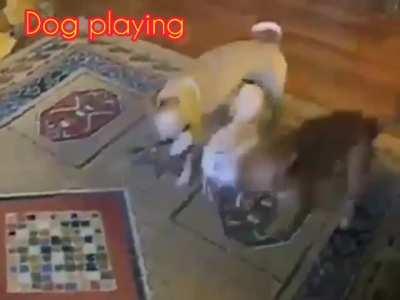 Abay pati ba naman lalaki tinira patalikod