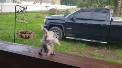 This video never fails to crack me up.