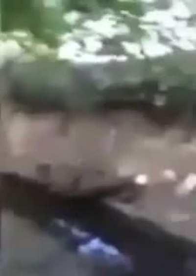 Definitely didn't not hurt