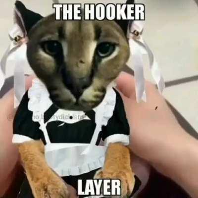 Big floppa in da hood