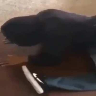 Fuc k Poli.Ticks .nd Socity😠😡..........m...