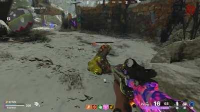 Plague Hound gets bugged and upset at taunt!