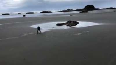 The water was a bit deeper than he thought