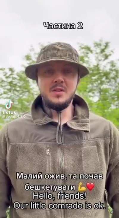 Ukrainian soldiers rescued shell-shocked fox cub