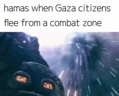 3000 human shield of Allah