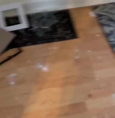 House explosion in Evansville Indiana today