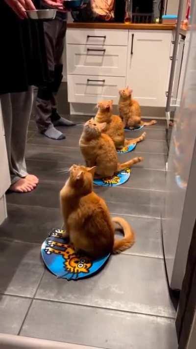 What an amazing Ginger boys.