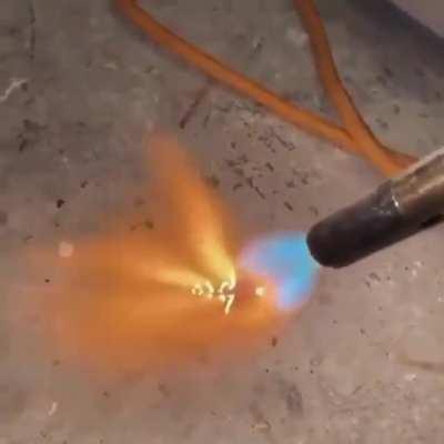 Just playing with a roach.