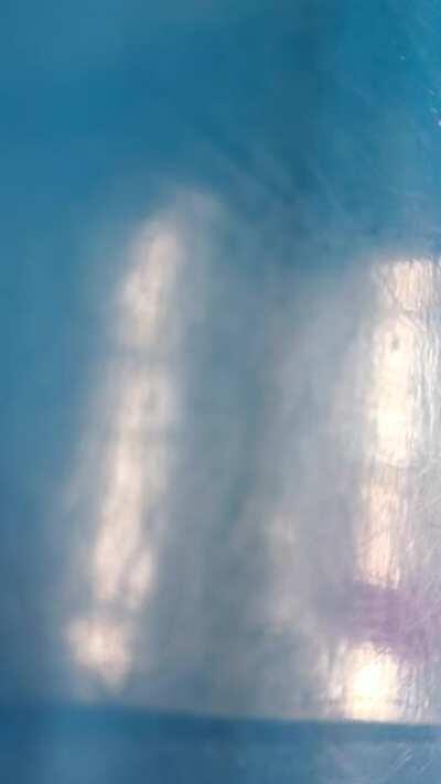 Crazy lady is a part of the Wisconsin State Assembly