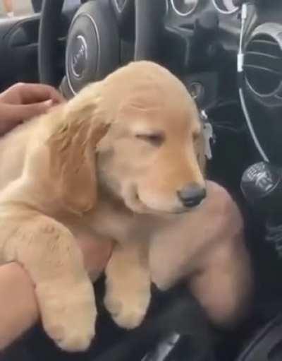 To not go to to sleep