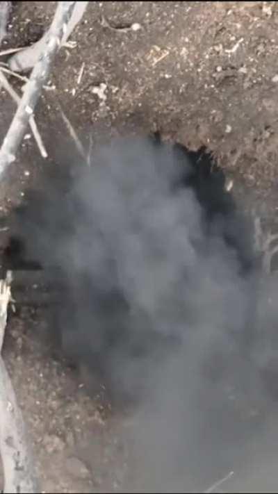 Whack-A-Muscovite (Ukrainian Drone bombing RuZZian position)