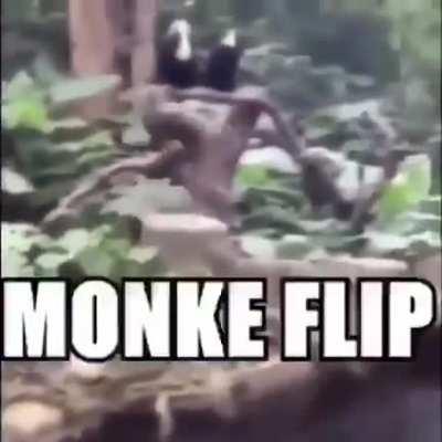 monke flip