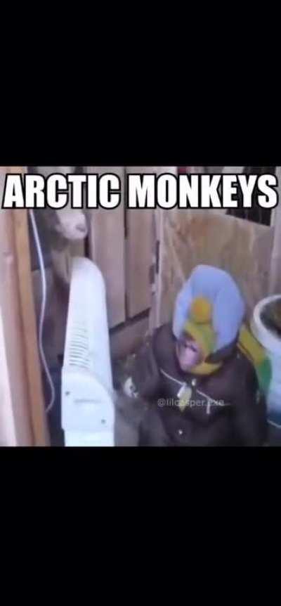Monke