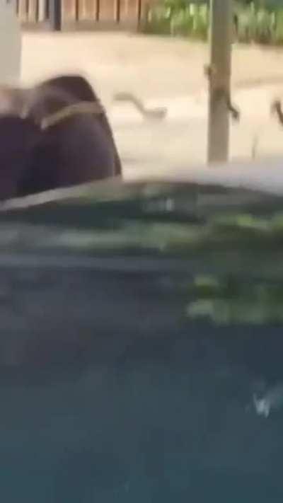 This is the last time I try helping out a stranded person on the side of the road 🤣