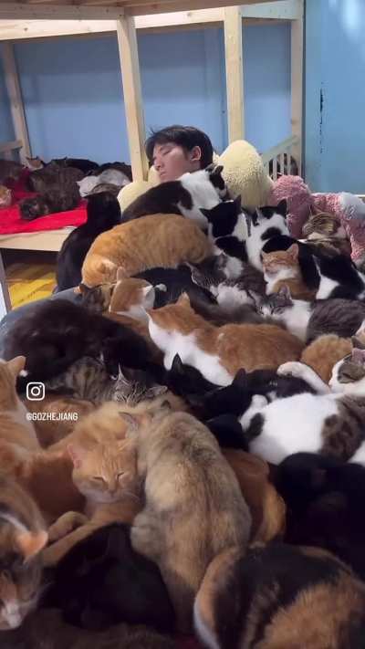 UnSuSpEcTiNg MaN gEtS bUrIeD uNdEr CaTvAlAnChE