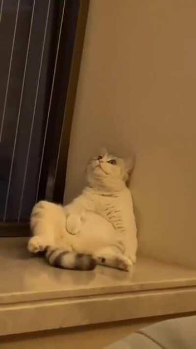 Me middle of the night, New update coming soon. New meta guns, new gunsmith, new cool BP charecters and what sorf of new bugs we gonna see this time?