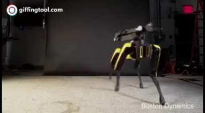 Theres Japan, America, and then theres Russia