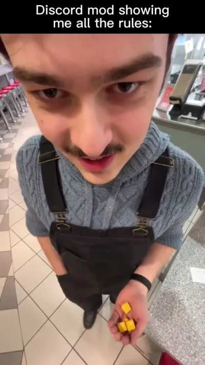 another professional discord mod