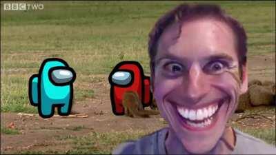 Please get out of my head