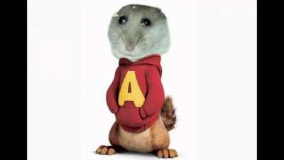 Le evolution of memes has arrived