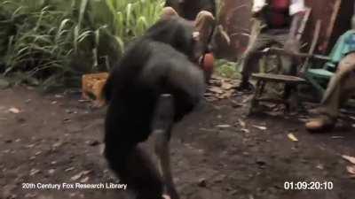 i watch this whenever I need a grip 🏈